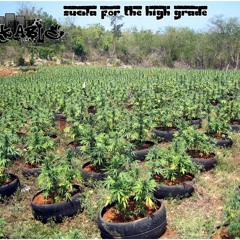 Dark Able - Sucka For The High Grade