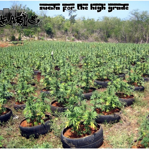 Dark Able - Sucka For The High Grade