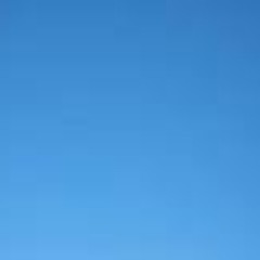 هشام راشد _أنا لا أخاف البندقية