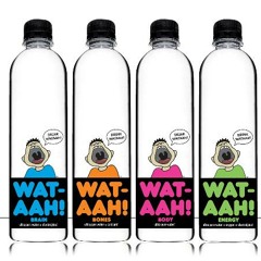 Alvaro ft. The Partysquad - Wataah (Royinho Latin Bootleg) FREE DOWNLOAD