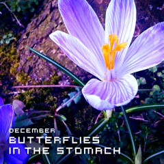 Dec3mber - Butterflies In the Stomach