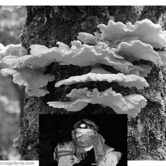 Deep Sea Ultra Adventure  (Mushroom Jazz)