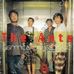 ႏွံေကာင္ေလးအတြက္/ The Ants