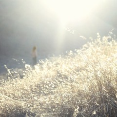 Bullrush in The Sun (12" available on Heat Death & Cooper Cult)