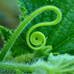 Esprit - Je pars en vrille