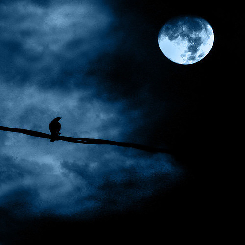 DJ FLY- NIGHT