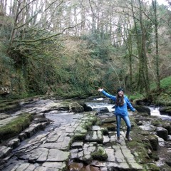 THE SALLY GARDENS. (Martin Stewart sings W.B. Yeats)
