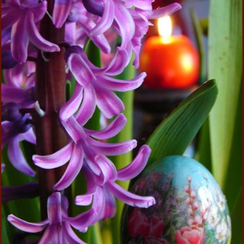 نوروز - بابک سعیدی