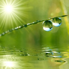 Hãy Nhìn Lại - Khánh Ly  http://www.facebook.com/Nhac.Trinh.Cong.Son