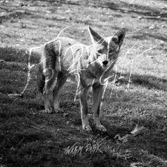 Wounded Beast