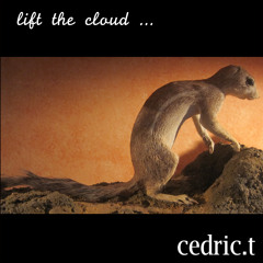 Lift the cloud ...