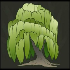 Sleeping willow