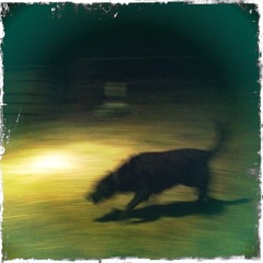 with love, signed, the drawf