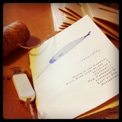 narwhal - Niviarsarq