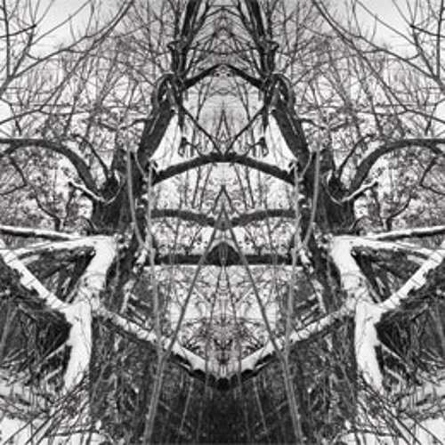 Mercurialux - Hollowed (Death of the Forest Cold).