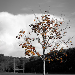 Milla Jovovich - Every Leaf (Remix)