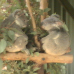 aki bpm133 wav(without vocal)