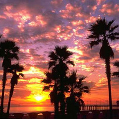 That's Life! - Seven Fade Prod. By Ace