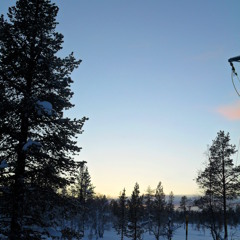 It would seem that 8 am in the morning is situated somewhere between the hope and the love