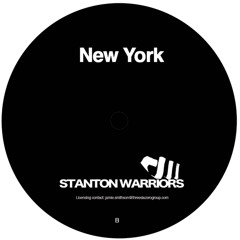 Stanton warriors - new york (dj viva)