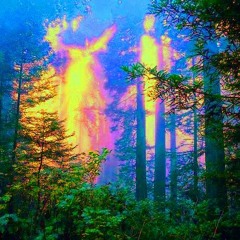 Secret Vision Mix--DEEP FOREST  [Psy/Dark/Forest] Night