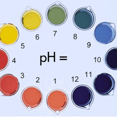 pH Indicator