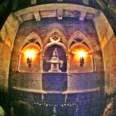 Toasted Beard 7 (Gryffindor kid)