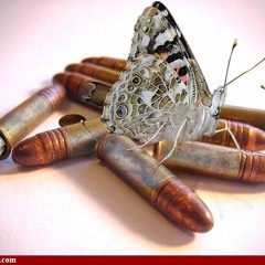 Butterflies And Killing Machines