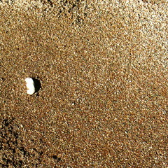 Badmammal - Printshop