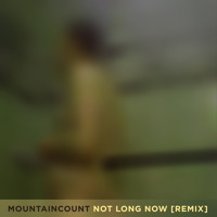 James Blake - Not Long Now (Mountaincount Remix)