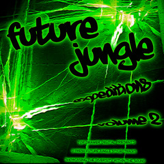 08-Strange Rollers - Rising Up (Dont Hold Back) Future Jungle Expeditions Volume 2