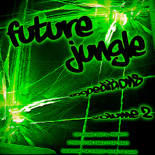 08-Strange Rollers - Rising Up (Dont Hold Back) Future Jungle Expeditions Volume 2