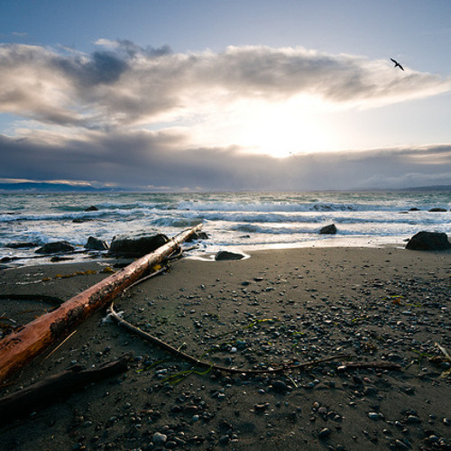 tomorrow's another day