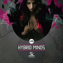 Hybrid Minds - Im Through ft. Grimm (Audio Porn)