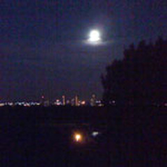 L'homme qui tombait de son lit