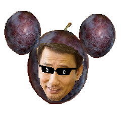 Mickey prune (track)