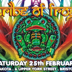 Niquid - Recorded at Tribe of Frog February 2012