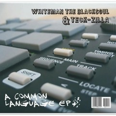 Whiteman the Blacksoul & Teck-Zilla - RAP BRICK BY BRICK
