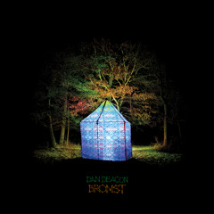 Build Voice - Dan Deacon