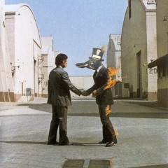 Shame on you crazy diamond