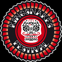 Kingsnakes - Goin' Down South (Jazzy Bronze Remix 2011)