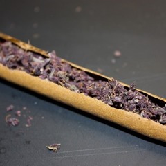 M.L.B BOYZ-Purp'd Up