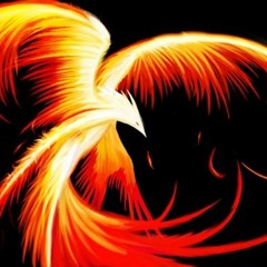 THE PHOENIX