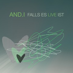 05 The A Team (Ed Sheeran Cover Live @ Heavy Rotation) (feat. Alex Ströher)