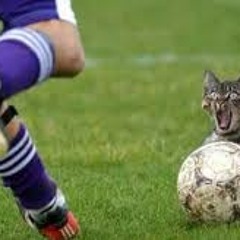 Physco internet friends who boot it up (Duotek's boot the cat mashup)