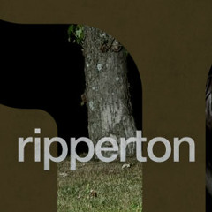 John Digweed - Live @ Transitions KISS - Guest (Ripperton) - 19 02 2010 - Progressive