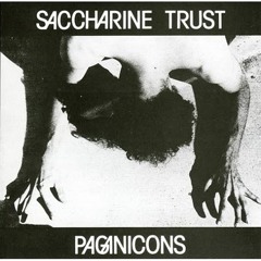 Saccharine Trust - A Human Certainty