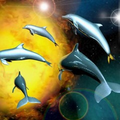 Dolphins On Mars