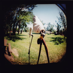 Minimalist Impressions