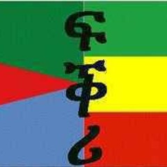Waving Flag. Amharic version. Brought to you by Dj bini/Bendog